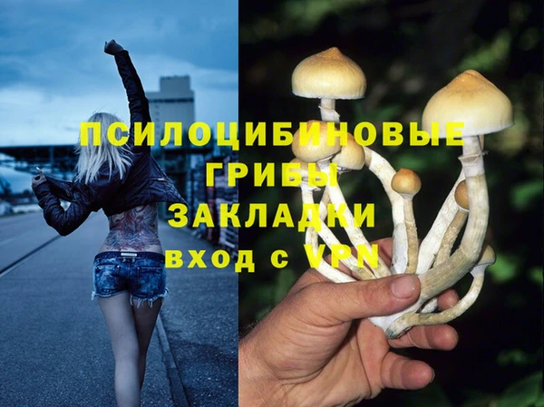 гашик Вязьма