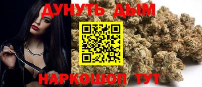 гидра Шахты