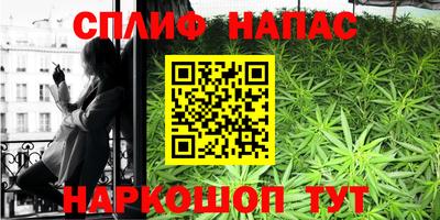 гидра Шахты