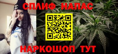 гидра Шахты