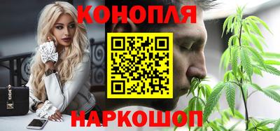 крисы Шебекино