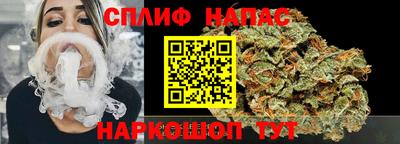 крисы Шебекино