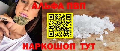 крисы Шебекино