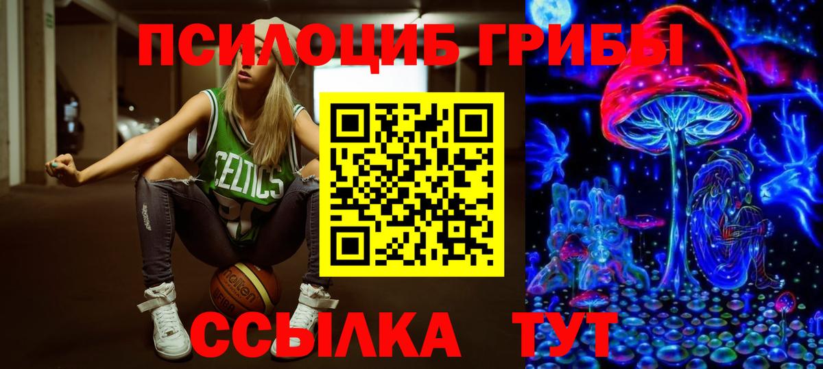 Галлюциногенные грибы Cubensis  Вход с VPN  Якутск 